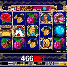 Apostas Esportivas na 466bet: Um Guia Completo